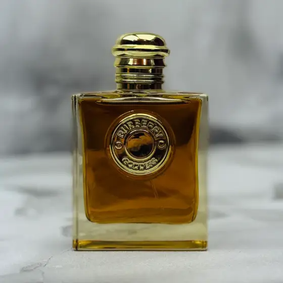 عطر ادکلن باربری گادس پرفیوم 100 میل مستر کوالیتی