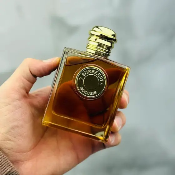 عطر ادکلن باربری گادس پرفیوم 100 میل مستر کوالیتی